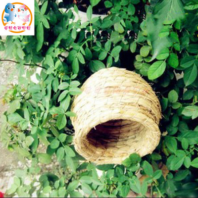 草編鳥窩鳥巢 虎皮鹦鹉草編窩鳥巢 繁殖鳥巢 鹦鹉用品小鳥窩批發