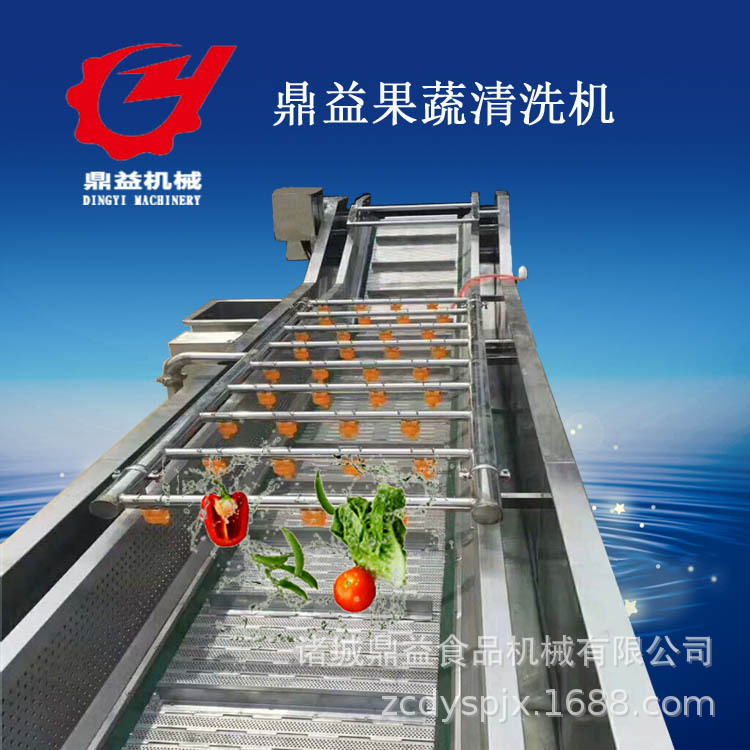 供应商用果蔬清洗机蔬菜水果全自动气泡喷淋清洗机专业生产