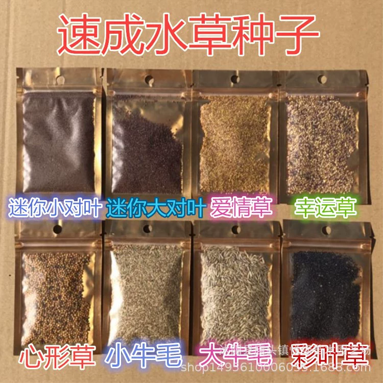 Оптовая мини-лист аквариум переднего плана трава вода трава Семена озеленение красивое водное растение в наличии Большая скидка