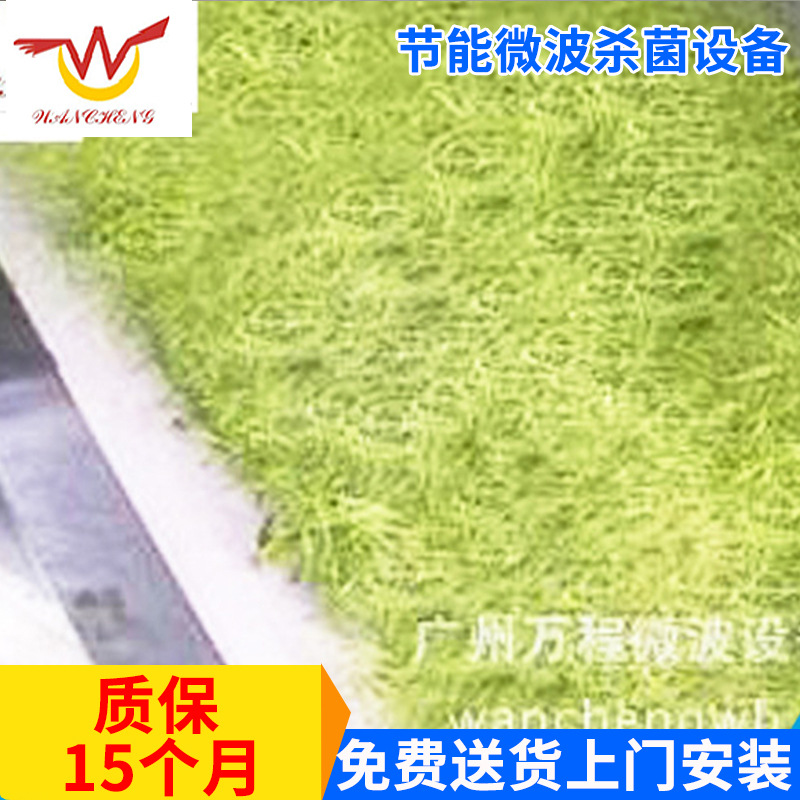 专业出售 果脯小型茶叶微波烘干机 立柜式节能微波杀菌设备