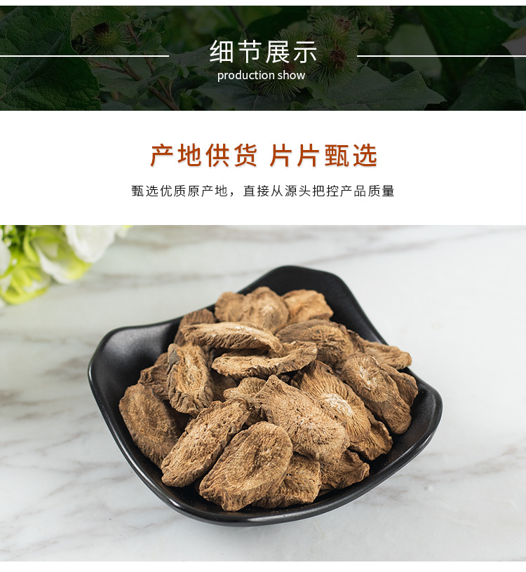 Burdock Root Tea Slices (Arctium lappa) — Dried Niu Bang Root Herbal Tea, 100g Jar in use