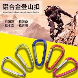 天羽厂家直销铝合金箱包扣用品户外钩运动装备山地野营加粗登山扣