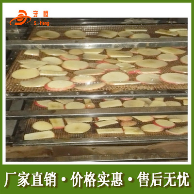 厂家非标定制水果烘干机 大型苹果片烘干机 苹果干低温脱水干燥箱|ru