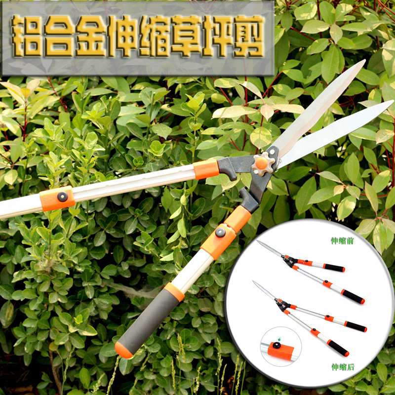 4267979883_288799623