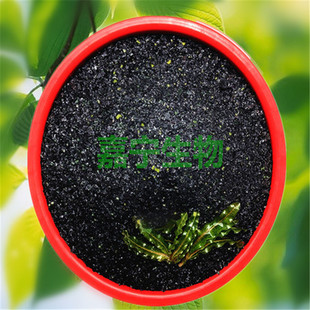 ����ø�⺣�徫ԭ�� �����ᳬ����ȡ���������ɫ �ЙCˮ�ܷ�10KG