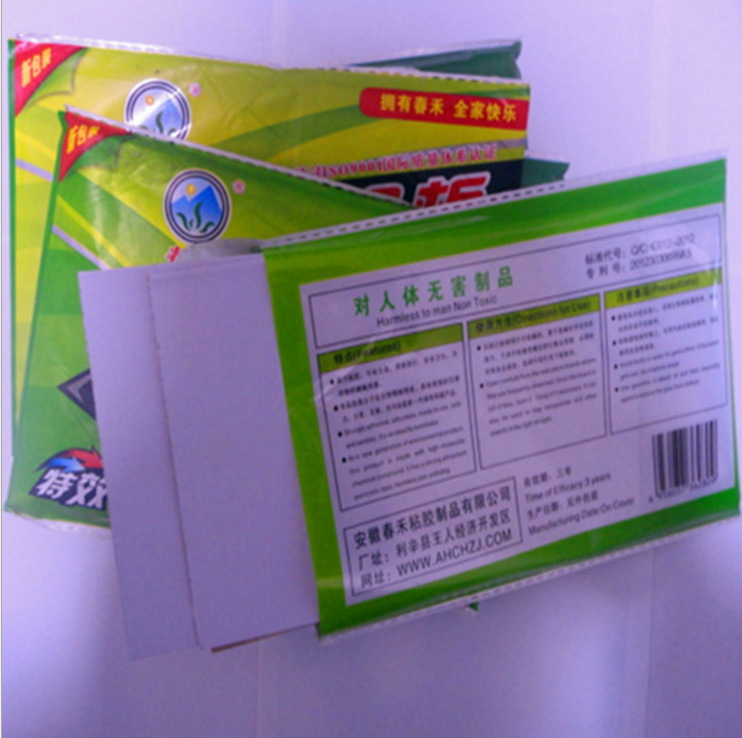 8898364192_126234376