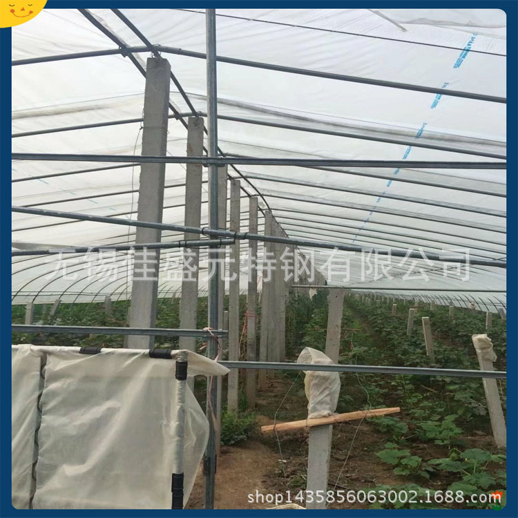 22*1.5镀锌蔬菜大棚管 32*1.5温室镀锌带大棚骨架 25*1.5镀锌钢管