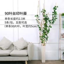 �~���ټپGɫֲ������늾������Gɫ�G�~�Gɫֲ�（���~�����b�Ʒ