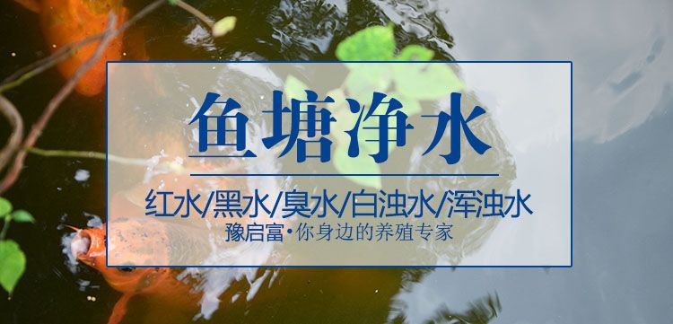 夏季鱼塘浑浊发臭用什么净水剂能让水变清不臭