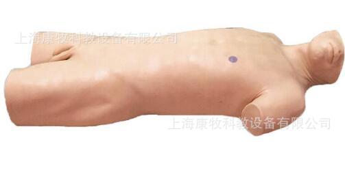 腹部移动性浊音叩诊与腹腔穿刺训练模型 腹腔穿刺训练模型