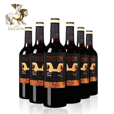 Spain Imported Terry and the same Cabernet Sauvignon red wine Full container 6 red wine wholesale Manufacturers supply