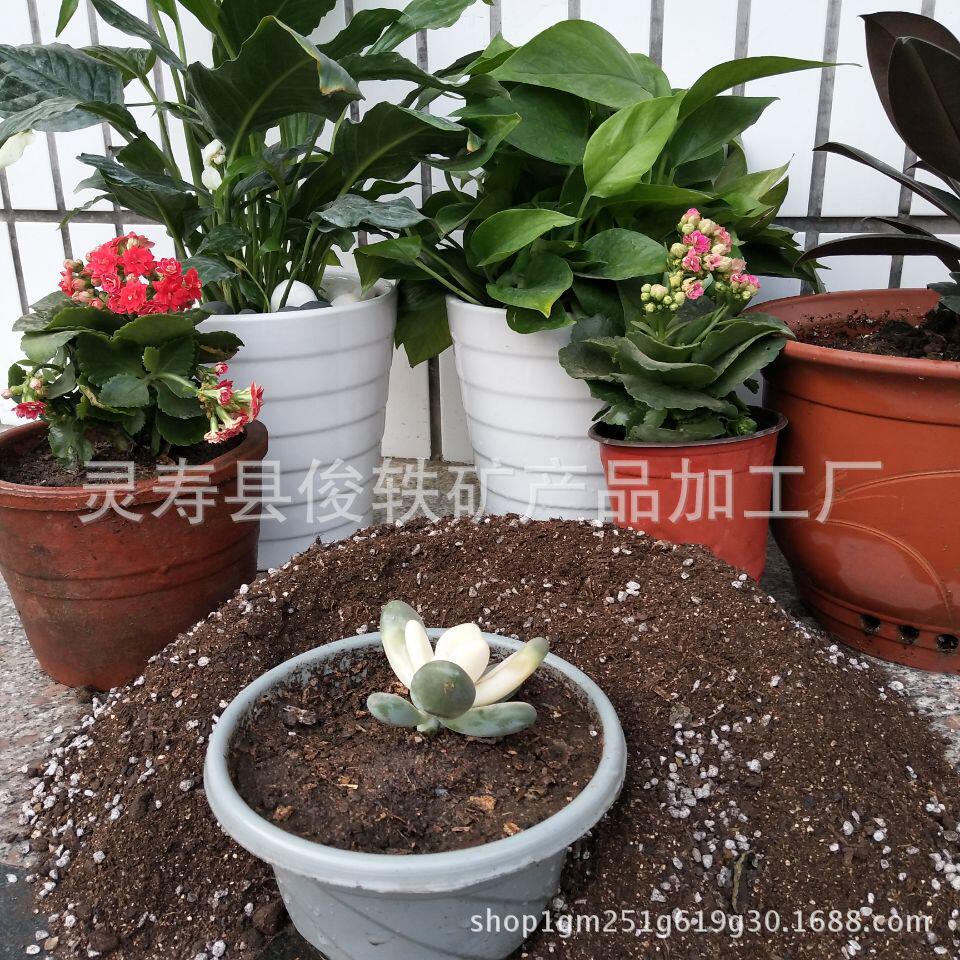 园艺蛭石园艺种植育苗资材拌土颗粒多肉植物营养土土 报价 阿里巴巴