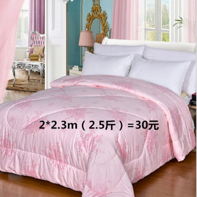 Rivers and lakes Pearl pulp Silk quilt wholesale Zhengzhou Manufactor Street vendor spring and autumn Winter quilt gift quilt Use