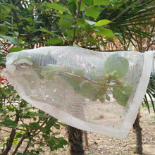 厂家直销尼龙网袋防虫套防鸟火龙果套袋果树防虫袋水稻育种种子袋