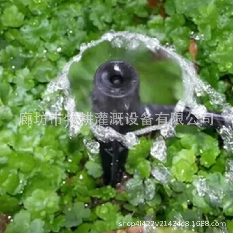 20181110175834_副本