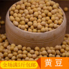 Soybean Milkel grinding raw materials Northeast tofu ingredients 500g five pounds free shipping