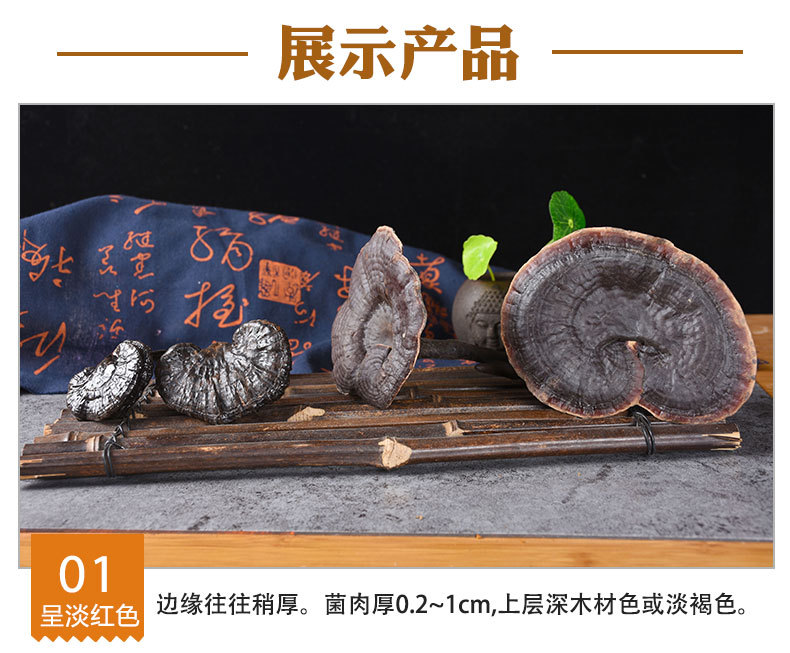 Black Reishi Mushroom (Ganoderma sinense) — Dried Whole Herb for Wine Infusion & Soup key features