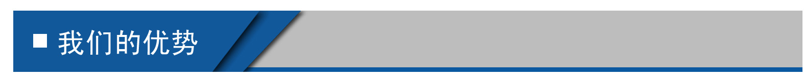 1我们的优势