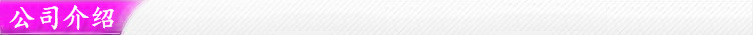 公司介绍