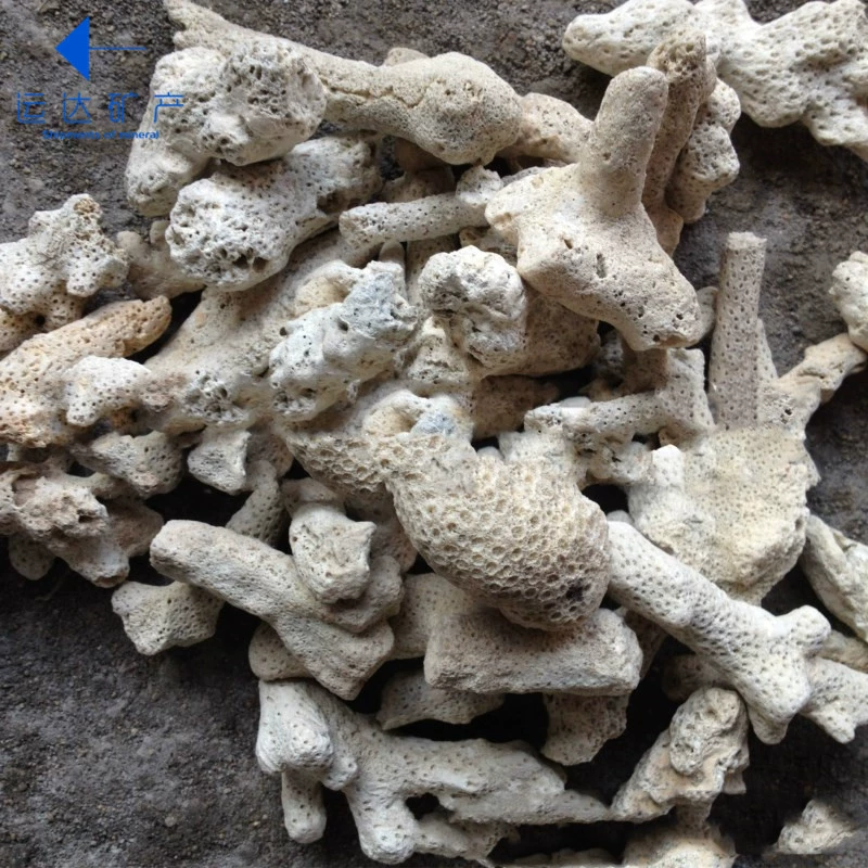 Coral aquarium, cigarette holder