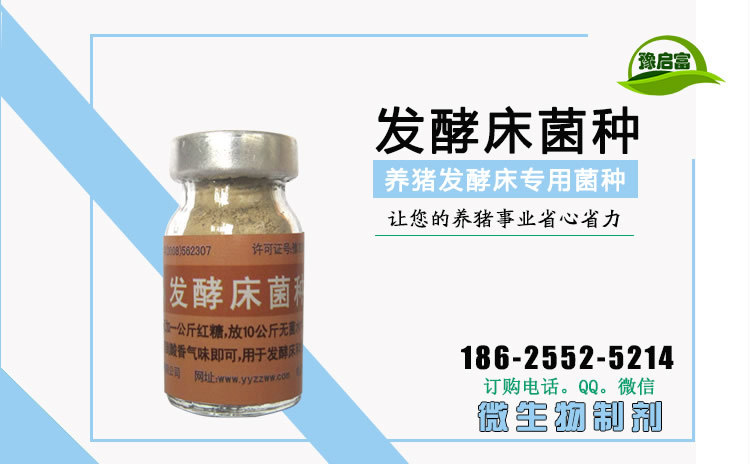 发酵床养猪菌种