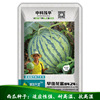 Zhongke Maohua Vegetable Seeds Company Wholesale Early Jia Candy 8424 Watermelon Seed Courtyard 100 Metrales