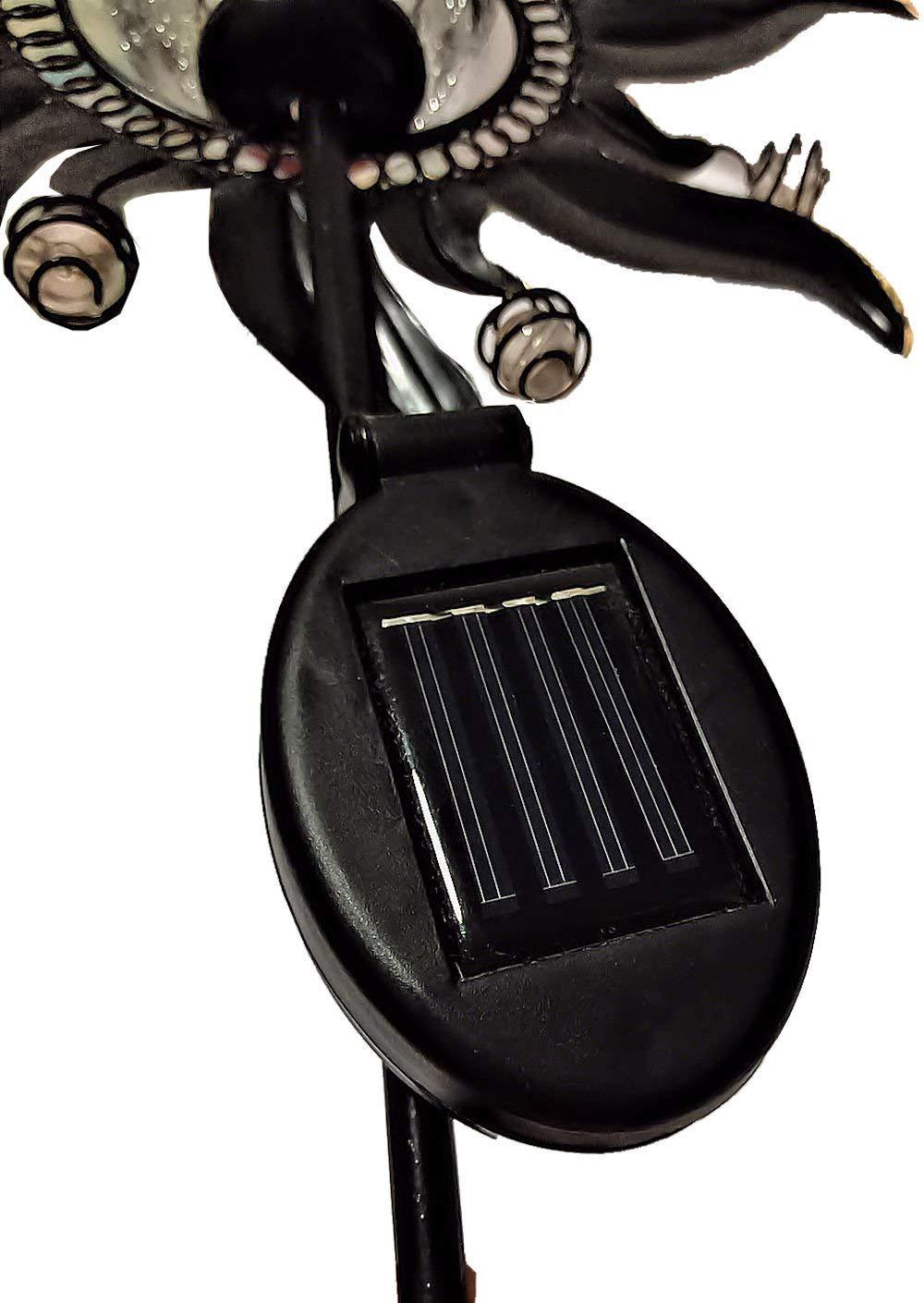 71o1Cw-gp8L._SL1410_