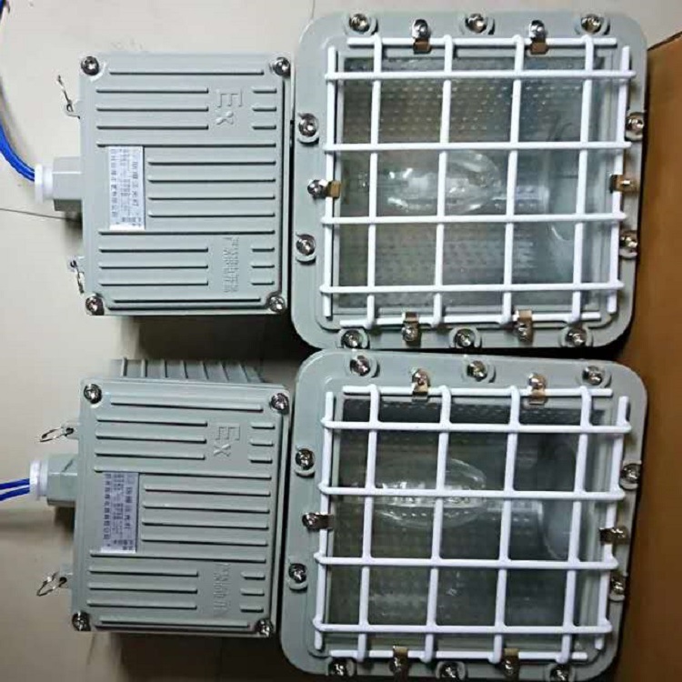 BAT51防爆泛光灯（一体式） 防爆灯 防爆泛光灯 泛光灯