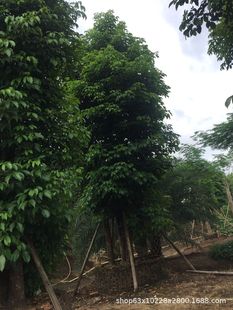 ����ֱ�N ���� ���� ��� ����� ���G�� ��Ҏ�� �G����ľ��r