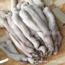 Sl{ƤëIëlñlӹƤ¿ɶȾɫl