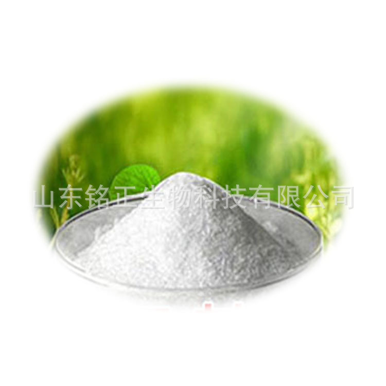 现货供应Y-氨基丁酸 氨基丁酸饲料级/食品级添加剂