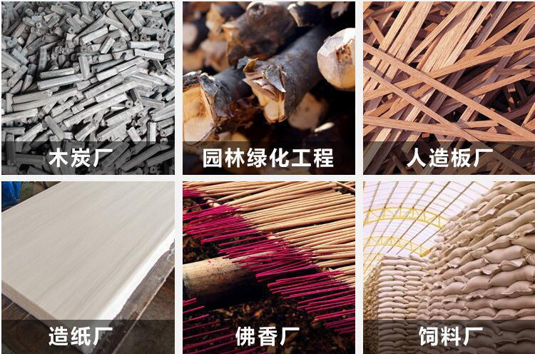 9241483498_1760041058