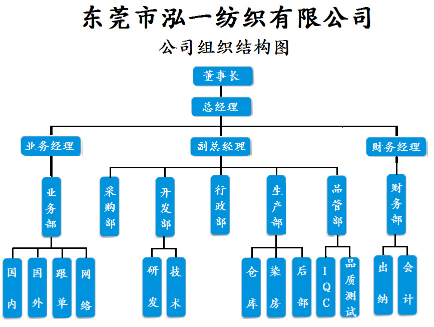 Company organizational chart 1