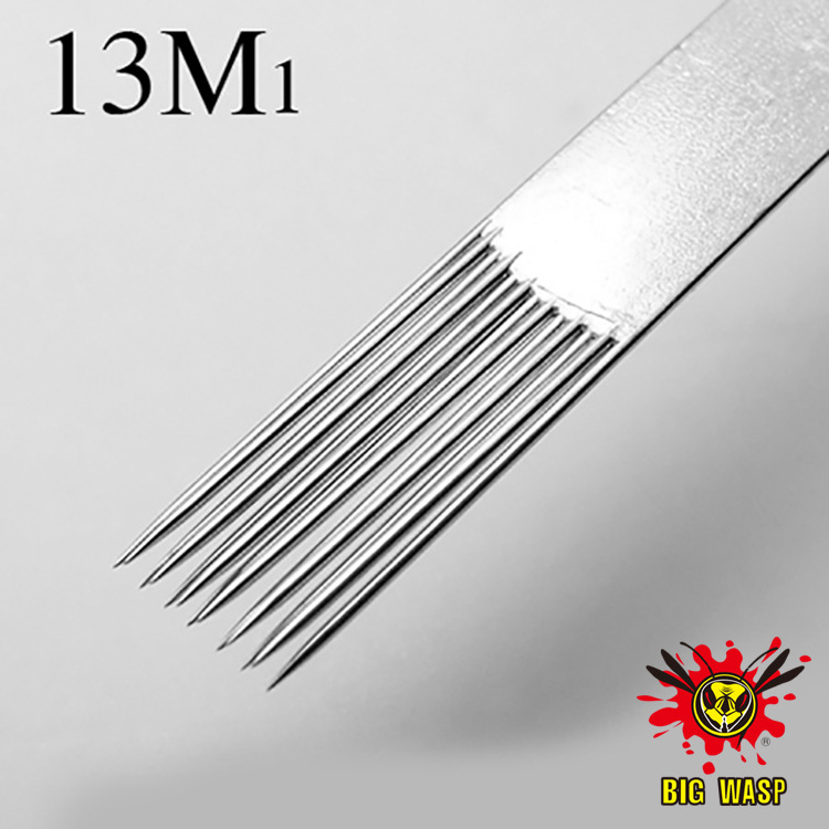 13M1