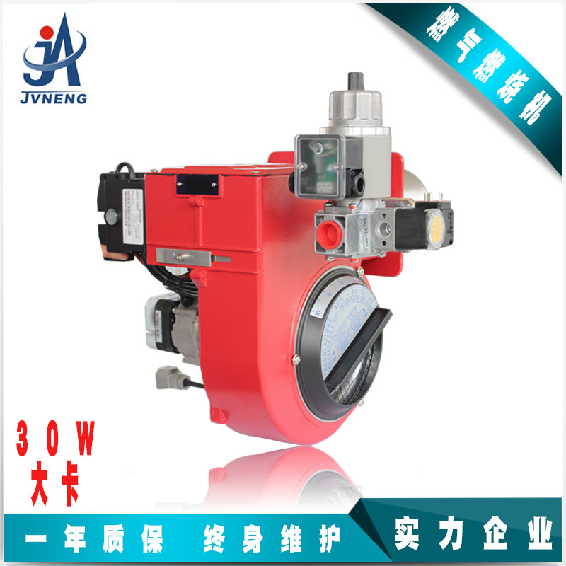 Zhejiang Shaped boiler Combustion engine 30 Energy saving Natural gas LPG Gas combustion engine Combustion