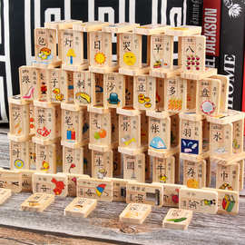 100片数字汉字水果认知多米诺积木益智积木批发3-6岁儿童玩具