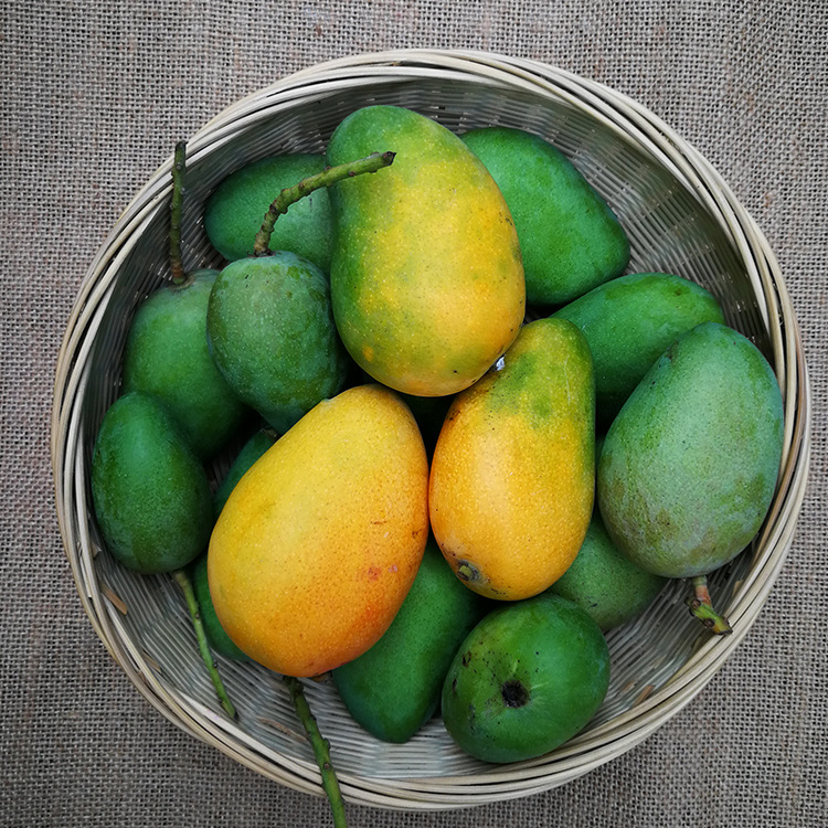 海南小台芒新鲜水果小台农热带芒果8斤装一件