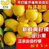 Wholesale Promotion Anyue fresh Yellow Lemon fruit Fruit 5 Perfume Lime Lemon sour and juicy