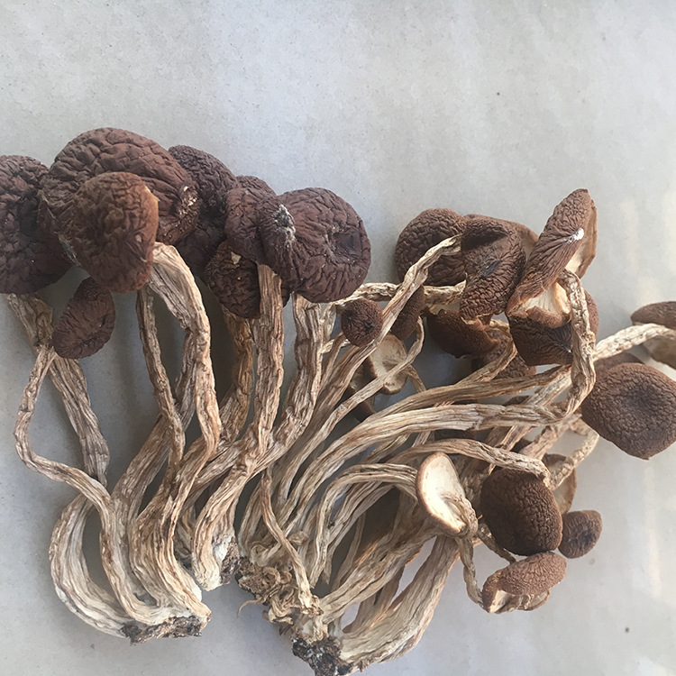 Soup Ingredients Mushrooms mushrooms Jiangxi Province specialty Chaxingu Chaxingu dried food 500g