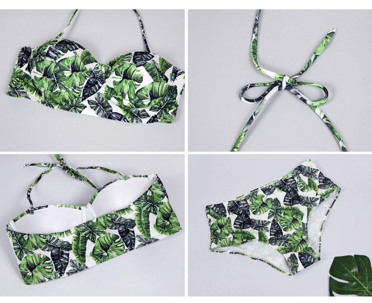 Swimsuit Image 2