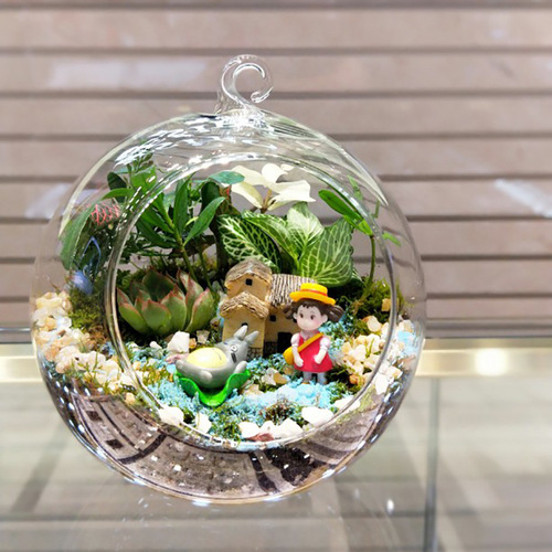 Micro-ecological bottle with glass balls, moss, iron stand, transparent hanging glass ball vase, succulent round balls, dangling balls