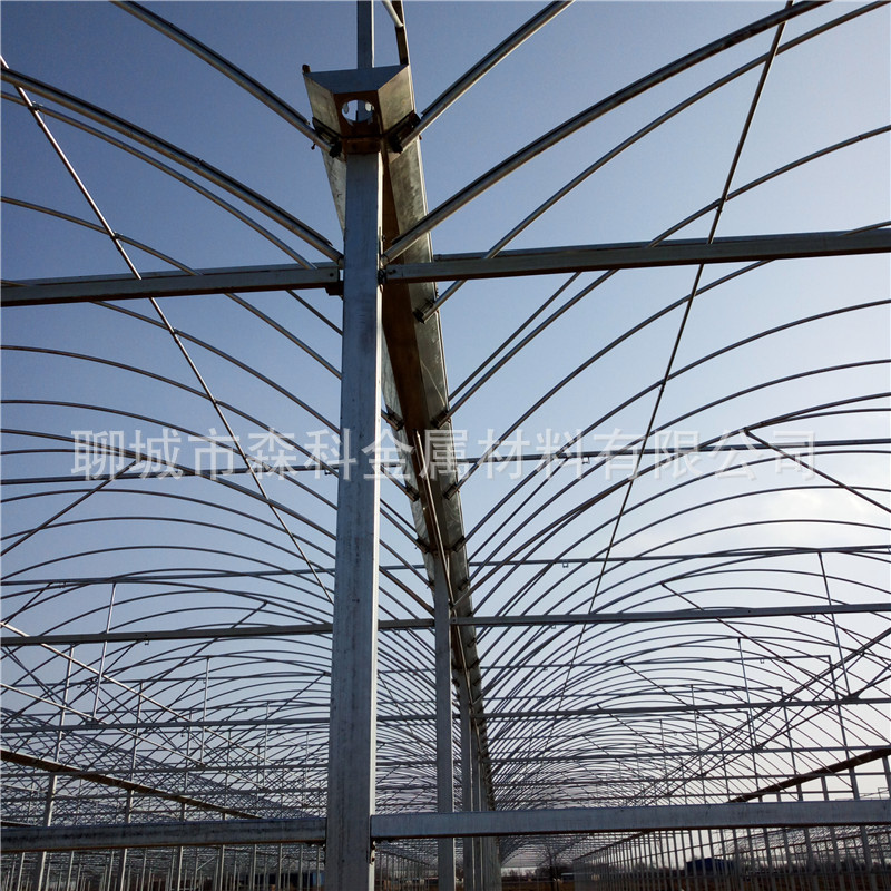 连体大棚 任意跨度 连栋大棚 双层保温大棚 防雨防晒连体大棚