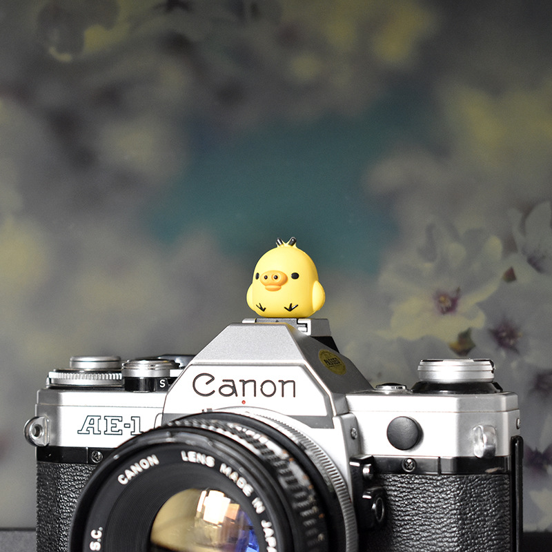 猪小鸡热靴盖 (13).JPG