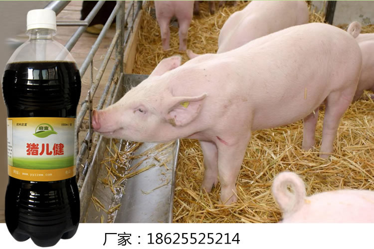 豬兒健益生菌菌液