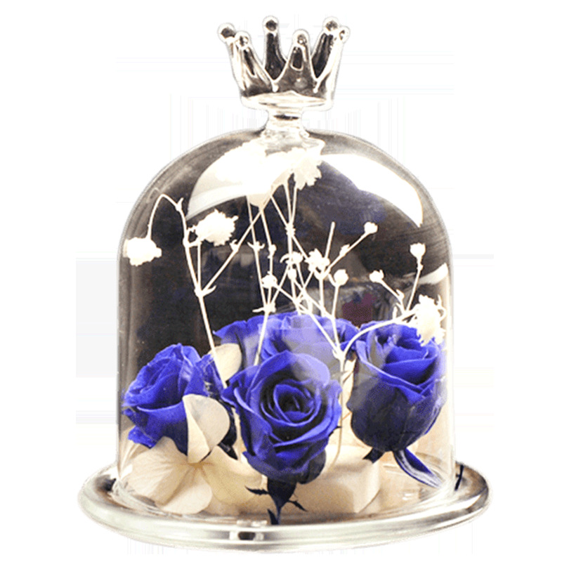 Estilo europeo DIY creativo transparente corona cubierta de cristal cubierta de la flor cubierta de la torta micro paisaje florero ventas directas de la fábrica