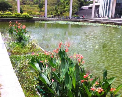 广佛城市河道生态整治 浮床工程,湖泊水体修复,水生态环境改善|ms