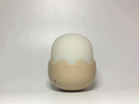 Eggshell Chicken Lamp Image 1