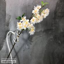 ����ѻ� ��c�zӰ�����b� �买�T�� �͏d�ҾӔ[�Ų廨