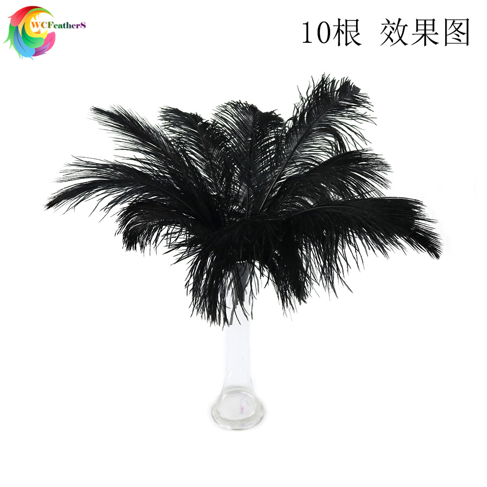 温册羽毛厂家定制原支小鸵鸟毛布边服装裙摆装饰小羽毛100码起详情图11