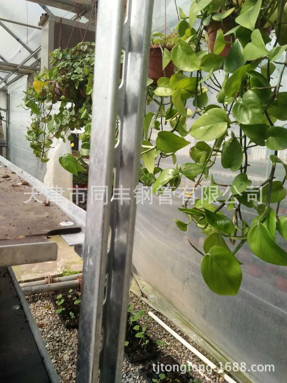 【厂家直销 花卉台车 型钢】花卉周转车、育苗车 34.3*34.3*1.8mm